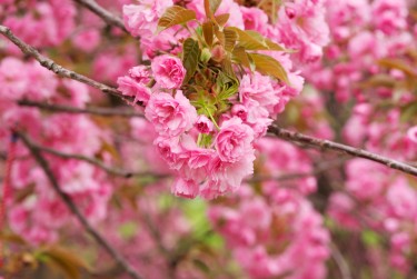 南通海门区线下个人借款平台一站式服务，轻松解决资金难题