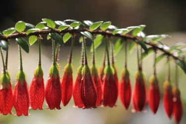 南通海门区零用贷短借：轻松解决临时资金需求