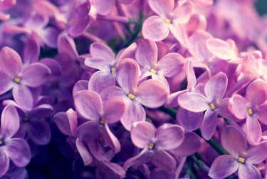 南通海门区企业急用钱贷款攻略：快速融资解燃眉之急